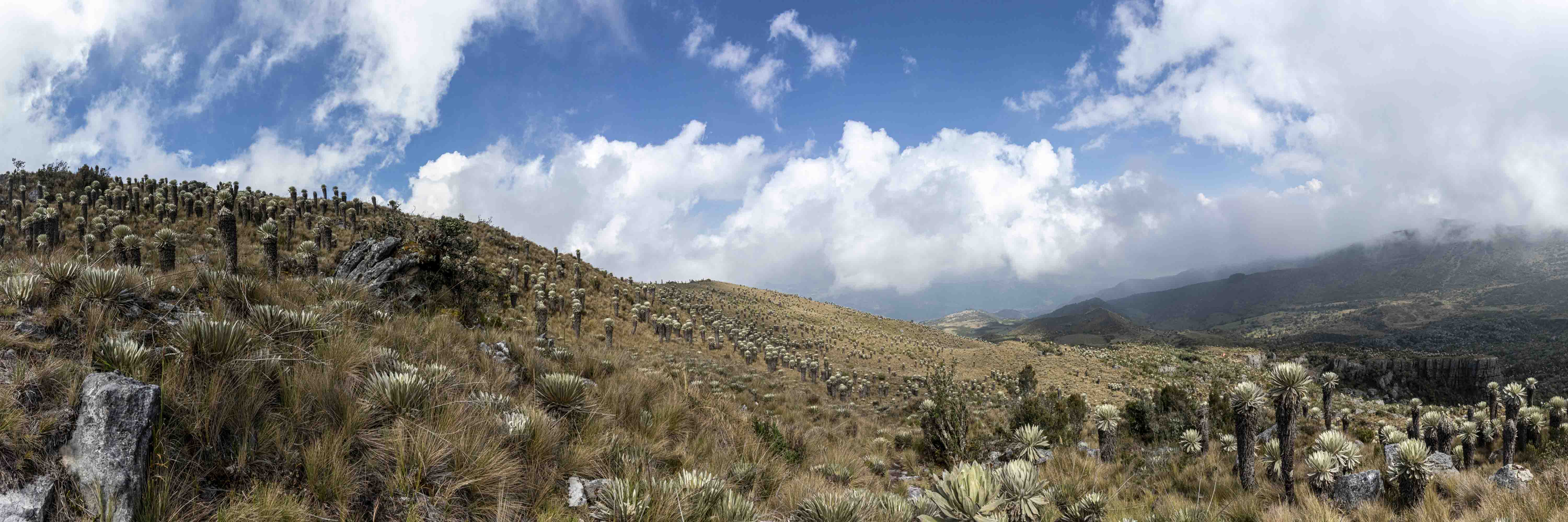 paramo de oceta nicolas gerard photography